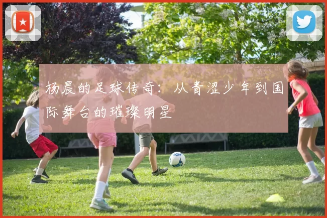 杨晨的足球传奇：从青涩少年到国际舞台的璀璨明星