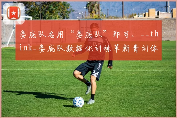 娄底队名用“娄底队”即可。__think_娄底队数据化训练革新青训体系