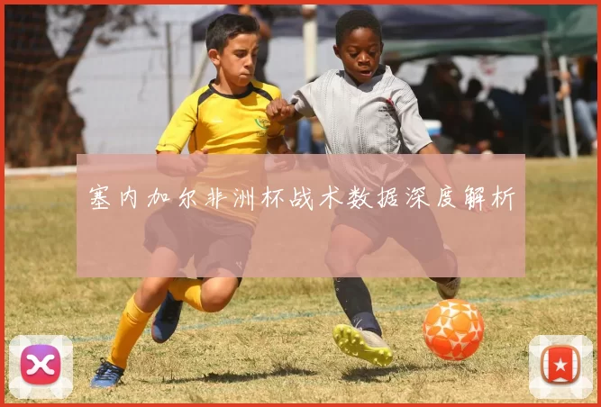 塞内加尔非洲杯战术数据深度解析