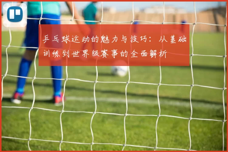 乒乓球运动的魅力与技巧：从基础训练到世界级赛事的全面解析