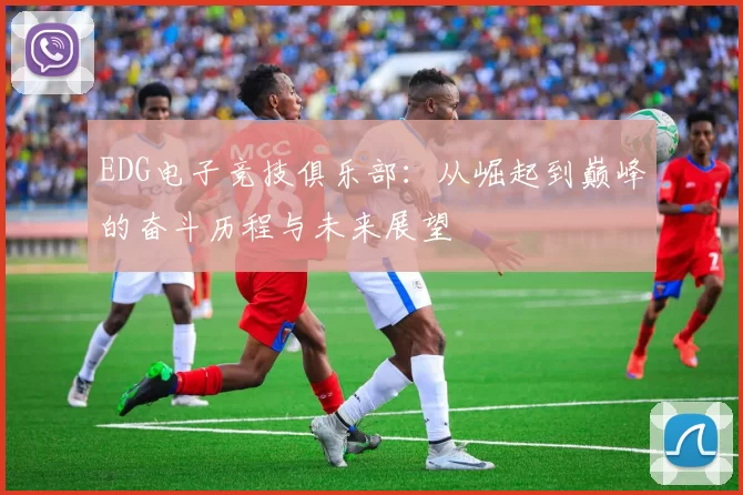 EDG电子竞技俱乐部：从崛起到巅峰的奋斗历程与未来展望