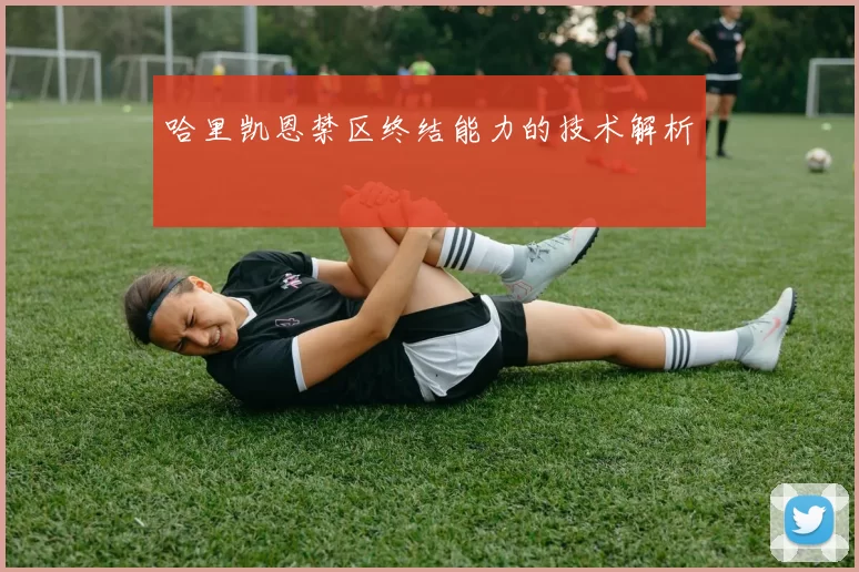 哈里凯恩禁区终结能力的技术解析