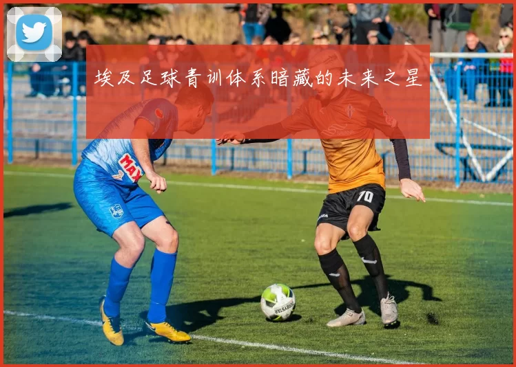 埃及足球青训体系暗藏的未来之星