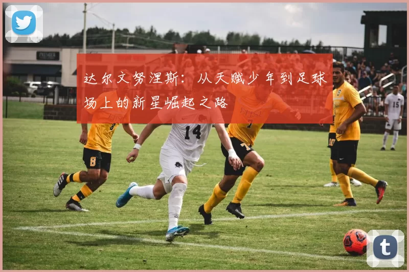 达尔文努涅斯：从天赋少年到足球场上的新星崛起之路